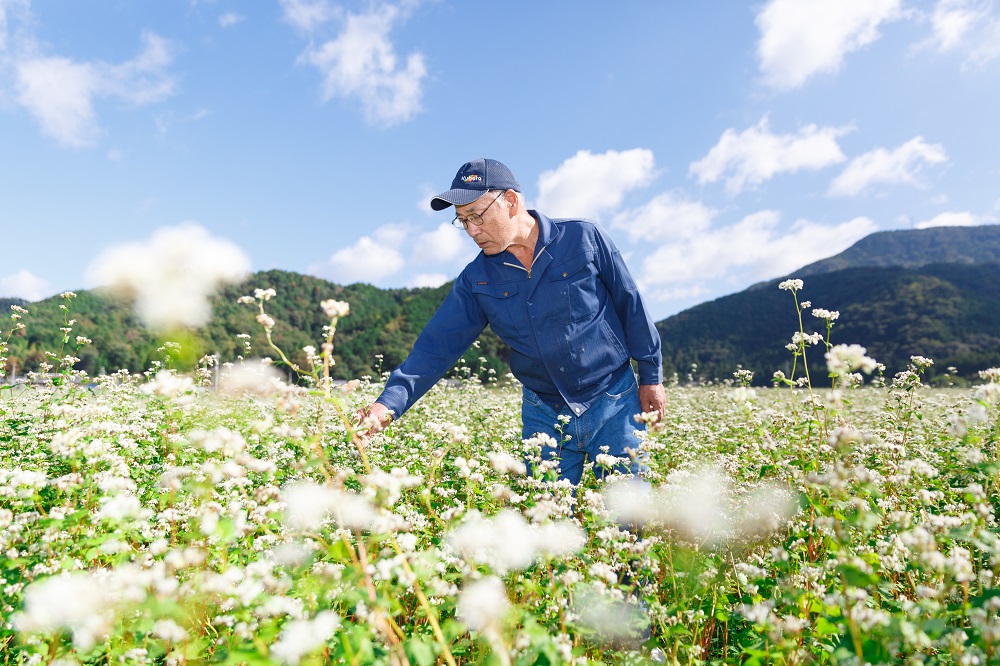 ＪＡ東びわこ　多賀そばの花見頃　０６１０１０　 - コピー